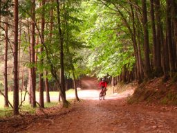 2006-08-15 Transpirenaica