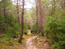 2006-08-15 Transpirenaica