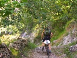 2006-08-15 Transpirenaica